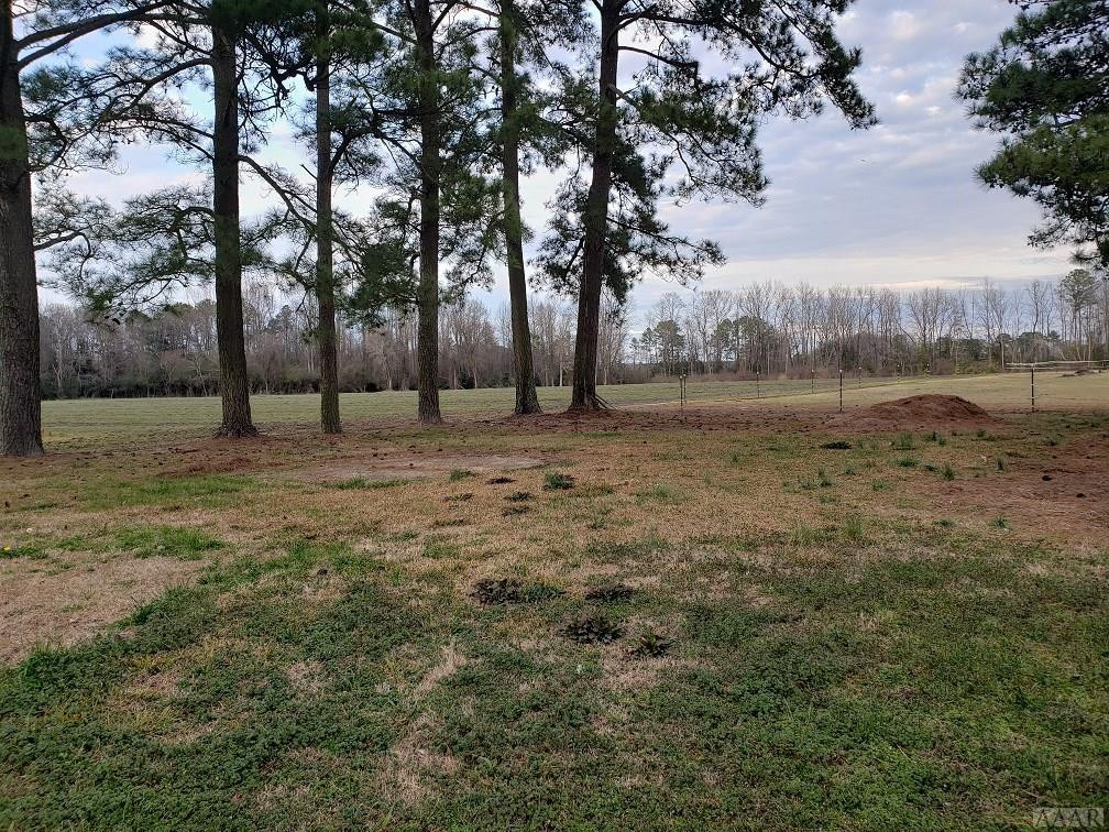 741 Benthall Bridge Road Murfreesboro, NC 27855 - Photo 3 of 24 Gallery Image 3