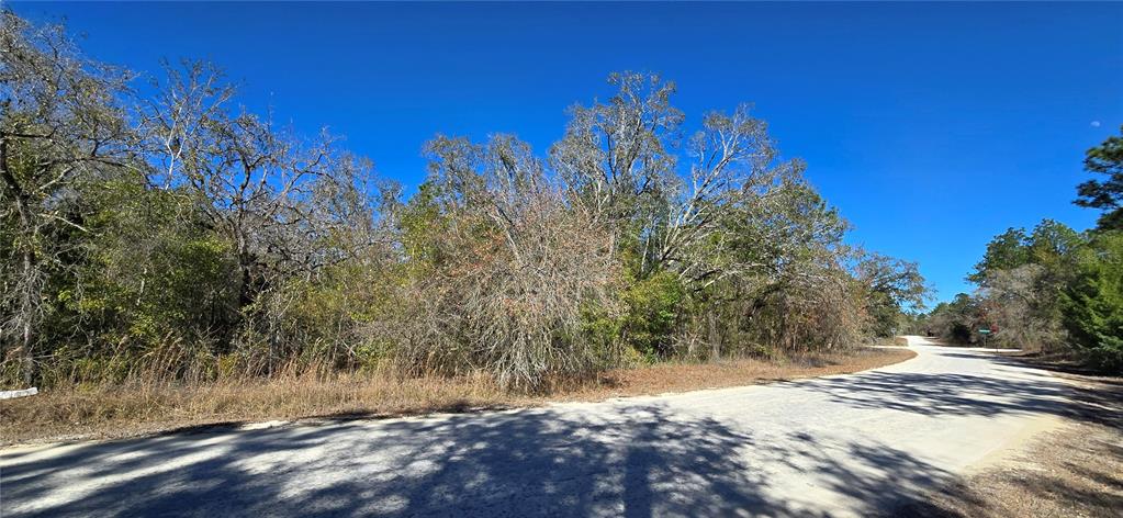 13231 Rd Runner Avenue Weeki Wachee, FL 34614 - Photo 3 of 6