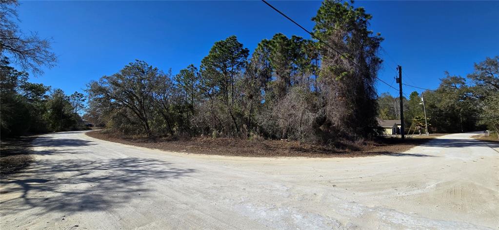 13231 Rd Runner Avenue Weeki Wachee, FL 34614 - Photo 4 of 6