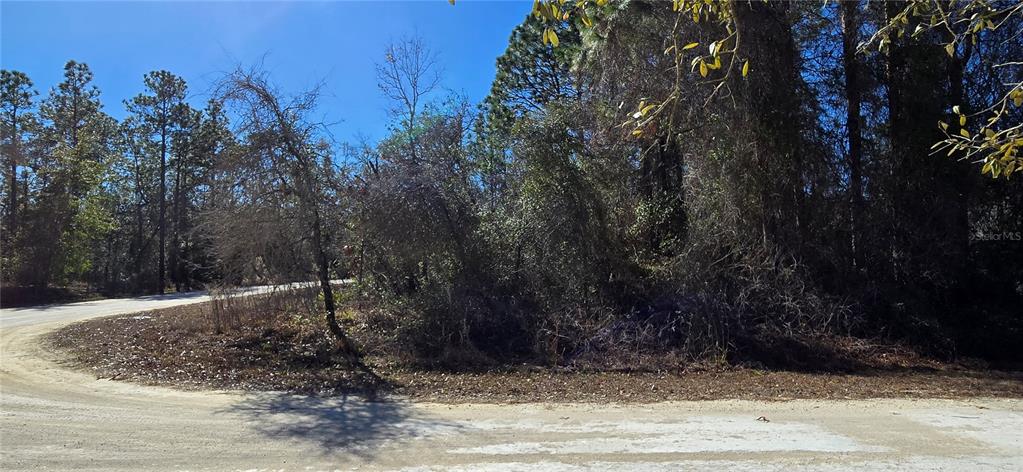 13231 Rd Runner Avenue Weeki Wachee, FL 34614 - Photo 6 of 6