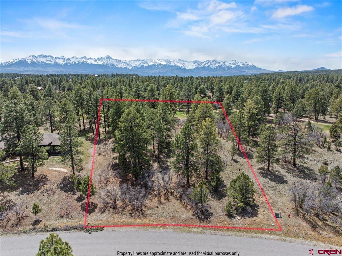 1325 Marmot Drive Ridgway, CO 81432 - Photo 11 of 13 Drone View to South