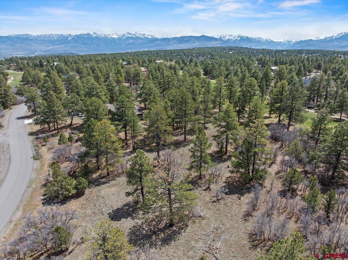 1325 Marmot Drive Ridgway, CO 81432 - Photo 12 of 13