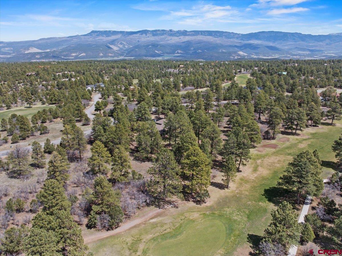 1325 Marmot Drive Ridgway, CO 81432 - Photo 13 of 13