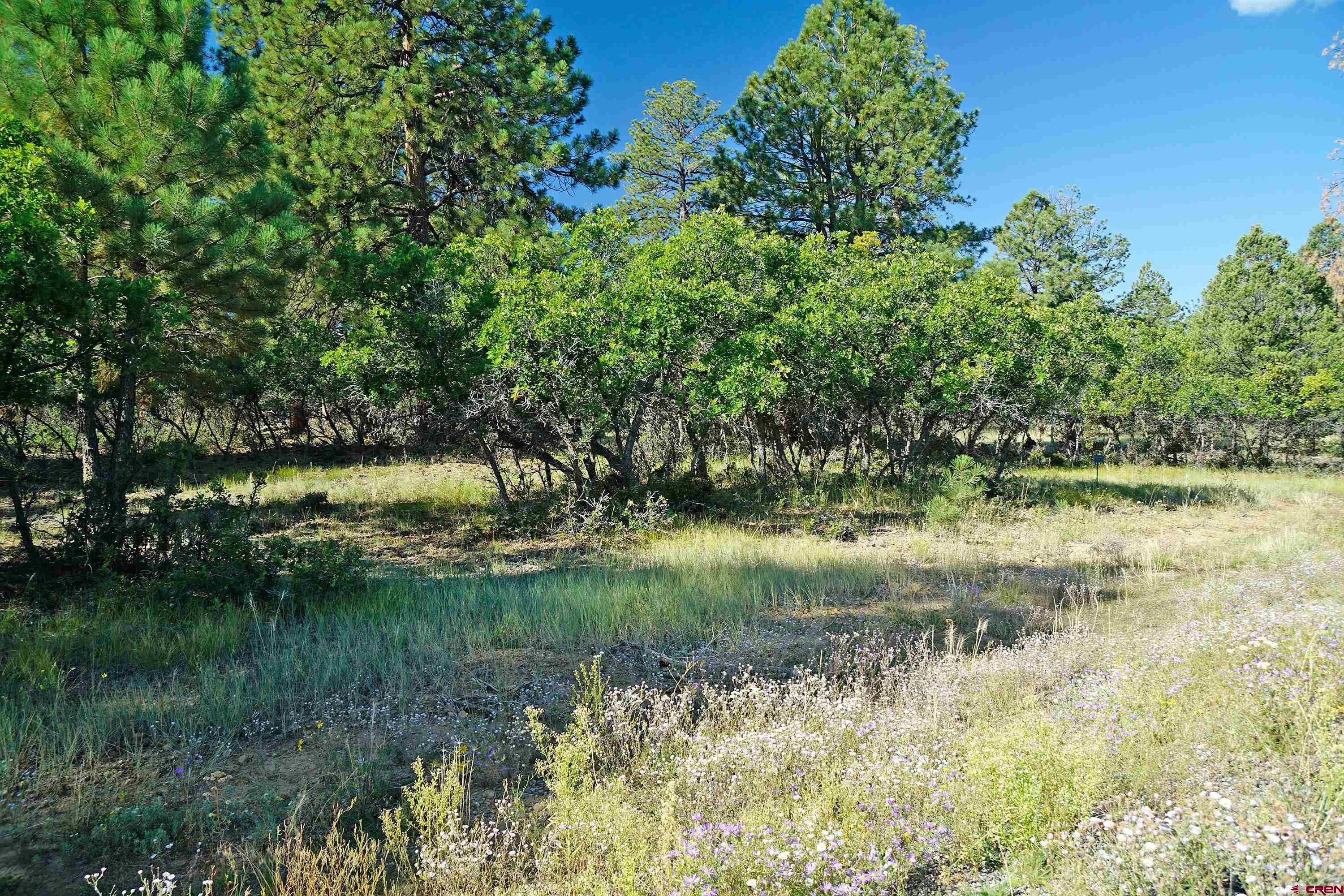 1325 Marmot Drive Ridgway, CO 81432 - Photo 5 of 13