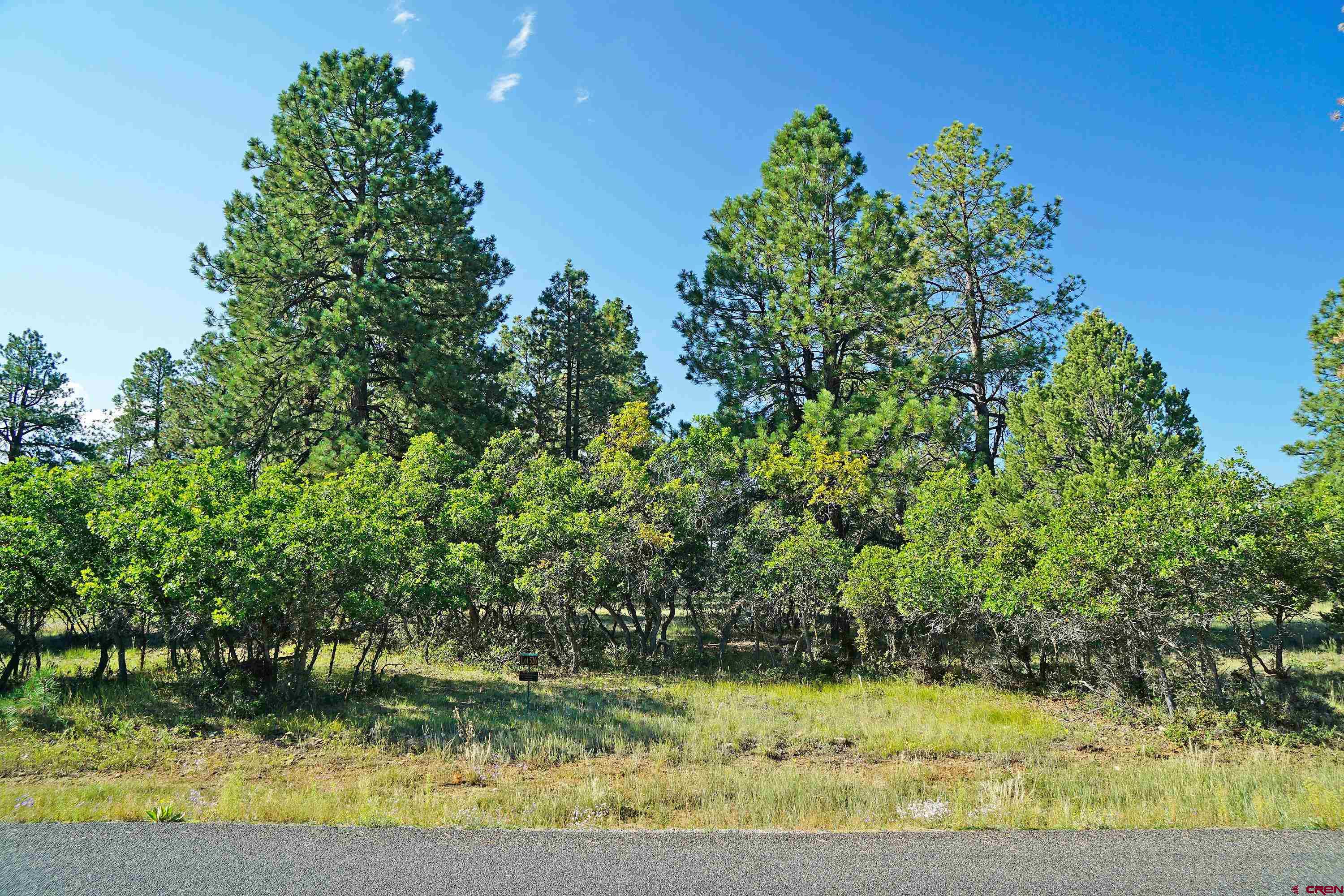 1325 Marmot Drive Ridgway, CO 81432 - Photo 6 of 13