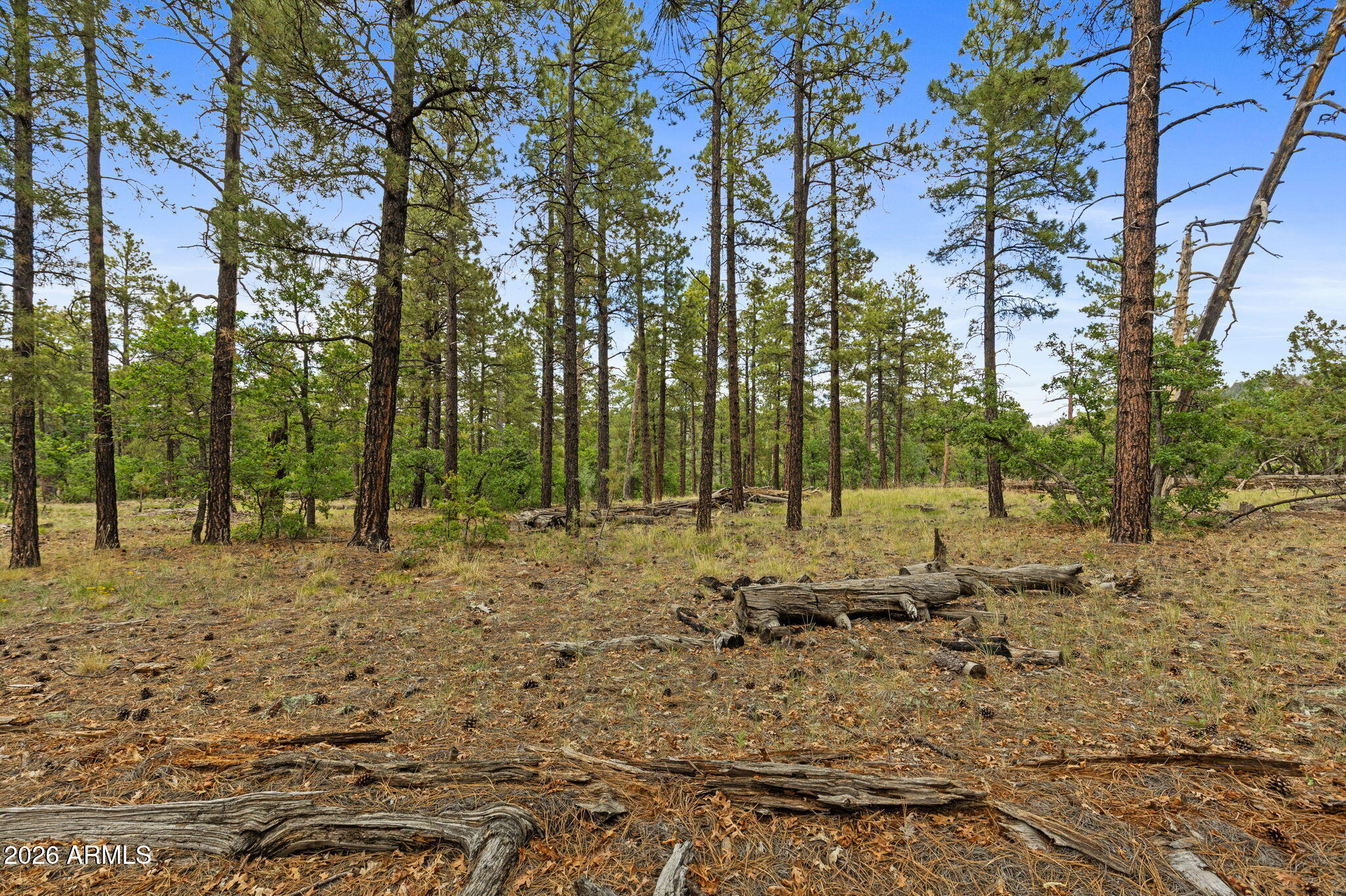 1628 Canyon View Loop, Unit 27 Williams, AZ 86046 - Photo 17 of 27