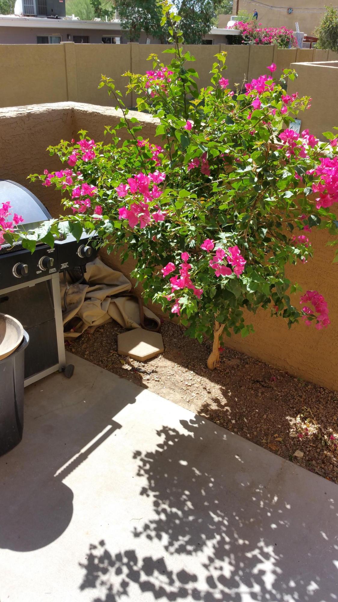2031 West Bloomfield Road, Unit 6 Phoenix, AZ 85029 - Photo 28 of 37 20170922_130937