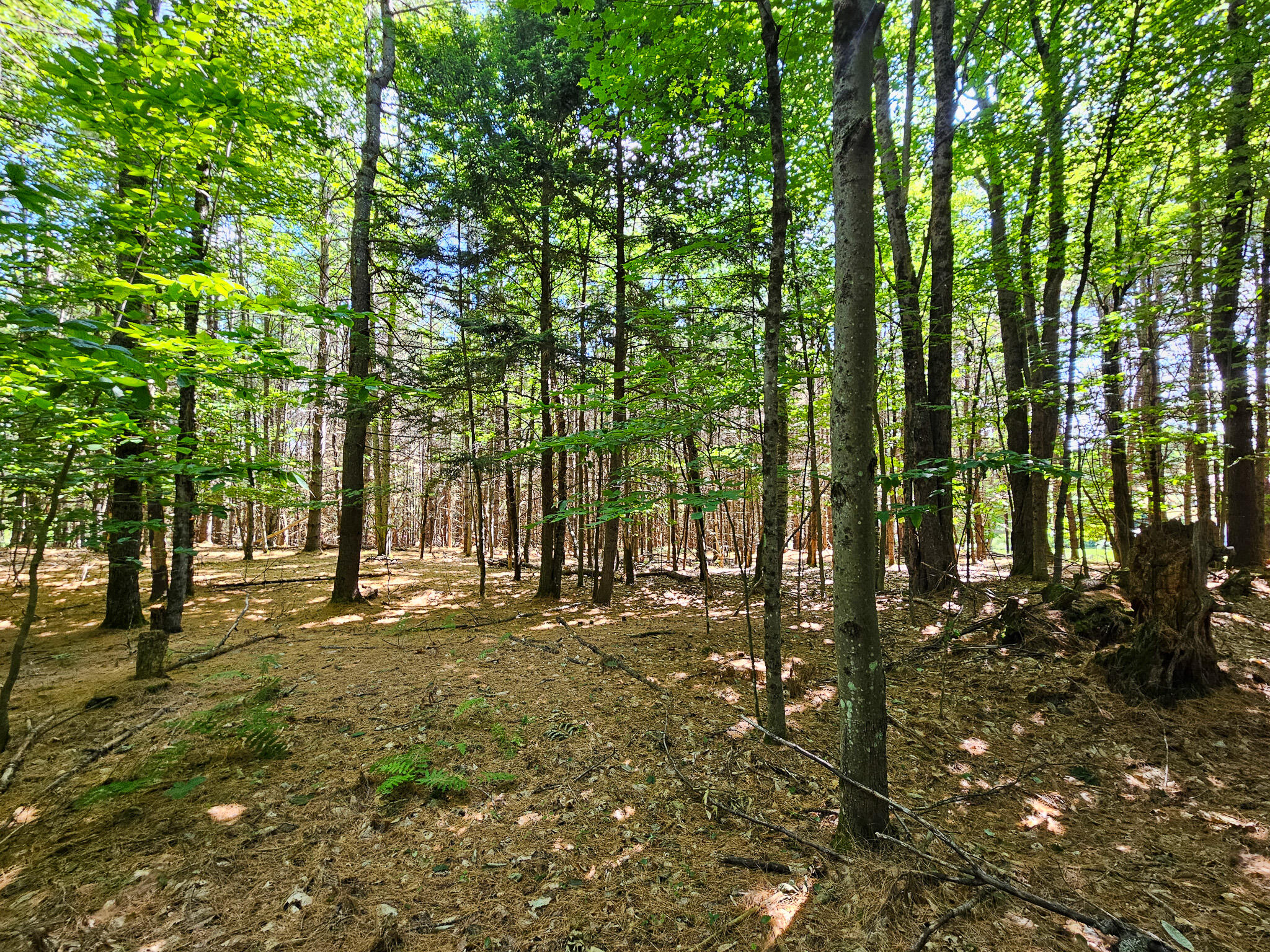 11-31-c Stone Hill Road Farmington, ME 04938 - Photo 7 of 22