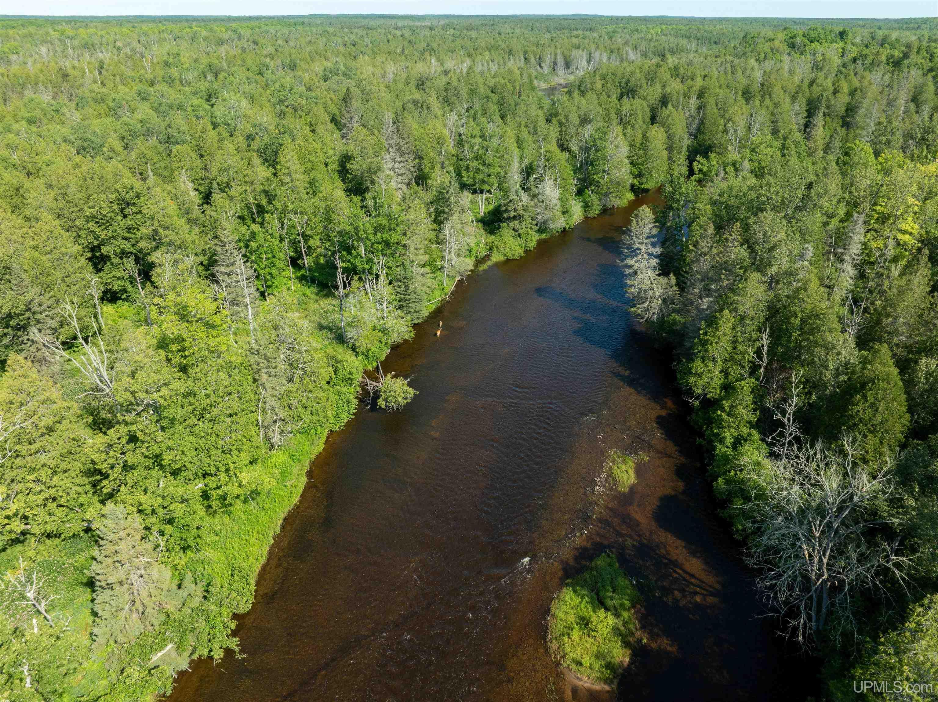 75 Rd Rapid River Munising, MI 49862 - Photo 17 of 48