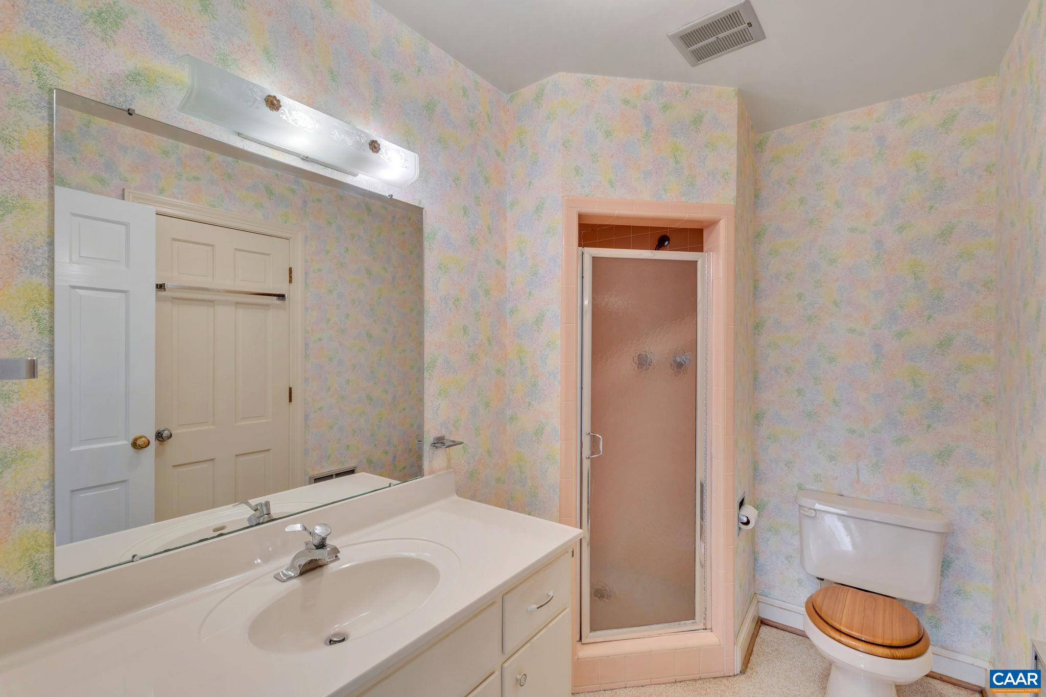 2602 Bennington Road Charlottesville, VA 22901 - Photo 23 of 50 a bathroom with a sink a toilet and shower