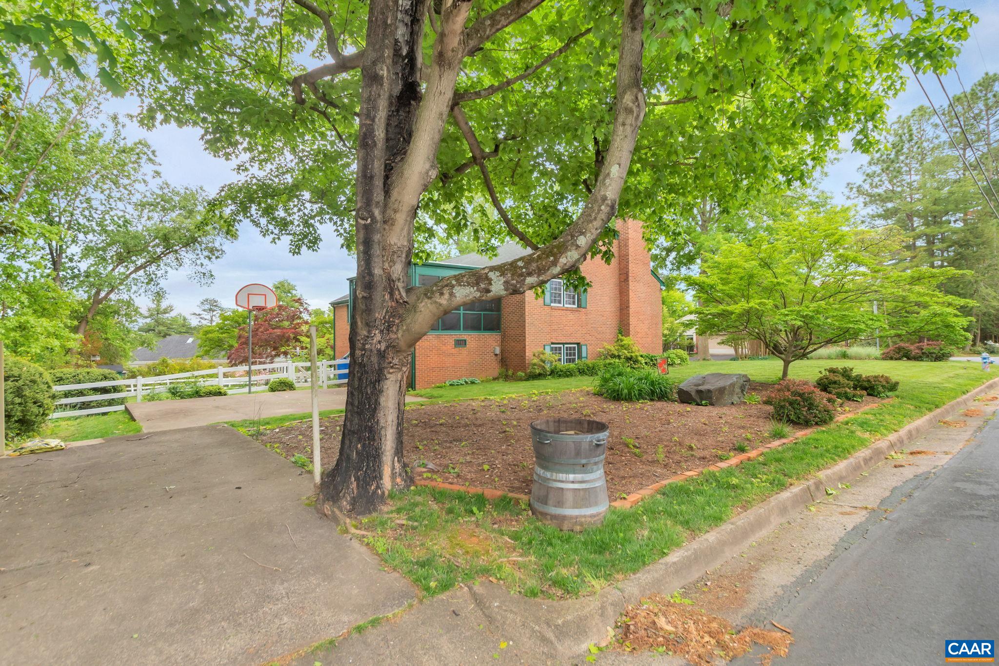 2602 Bennington Road Charlottesville, VA 22901 - Photo 41 of 50 a view of a house with a yard and large tree