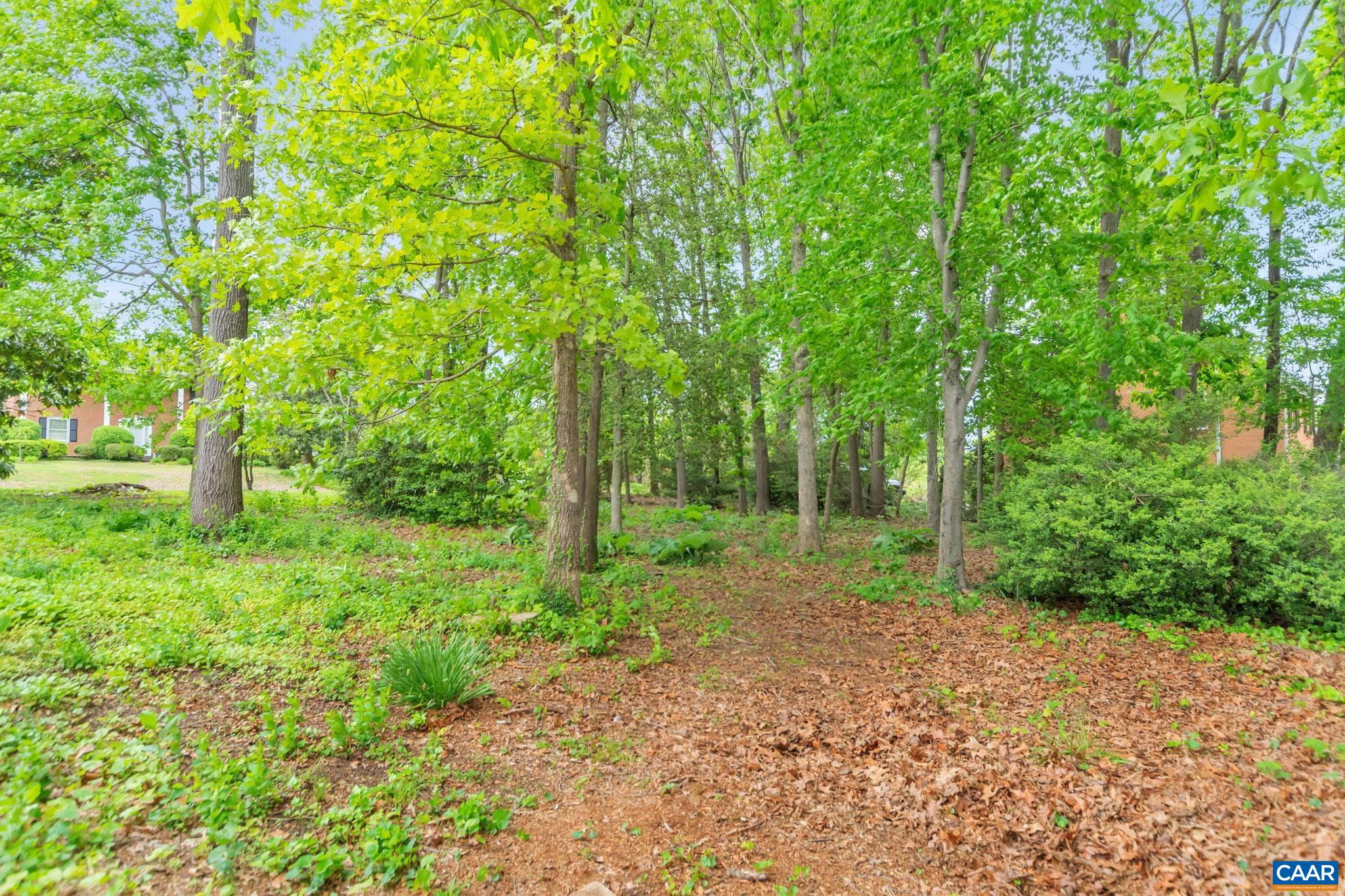 2602 Bennington Road Charlottesville, VA 22901 - Photo 48 of 50 a backyard of a house with lots of green space