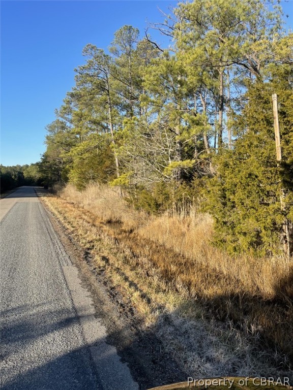 155-ac Bethel Beach Road Onemo, VA 23130 - Photo 5 of 15