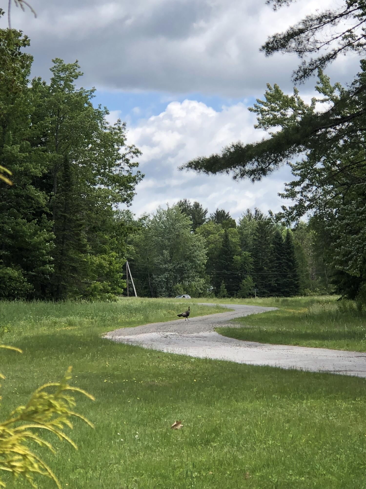 474 North Howland Road Howland, ME 04448 - Photo 55 of 68