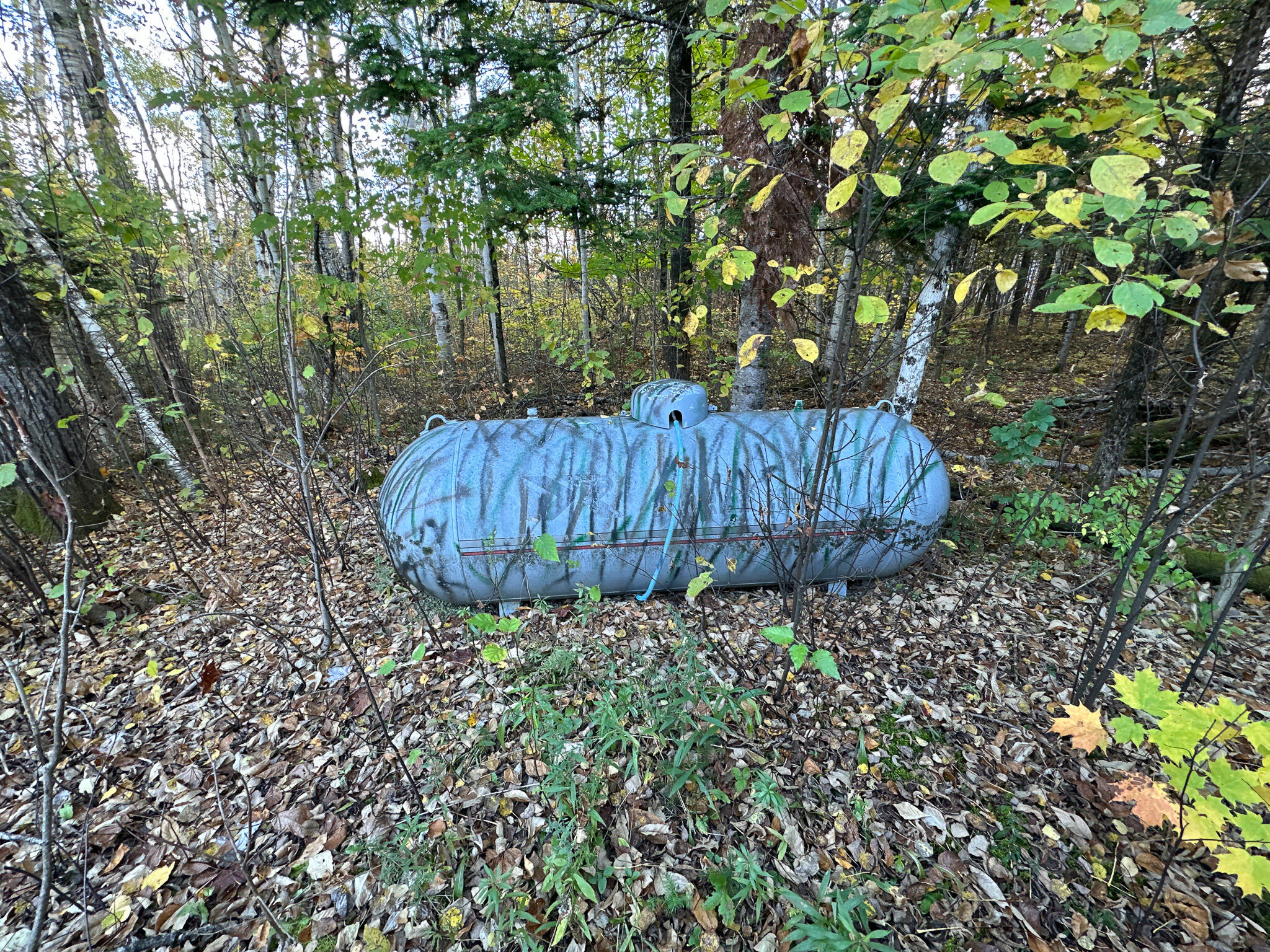 194 Station Road Sherman, ME 04776 - Photo 48 of 50 49