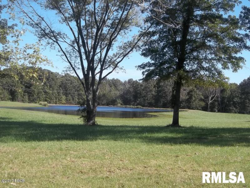 6864 South Forest Church Road Benton, IL 62812 - Photo 1 of 7 Gallery Image 1