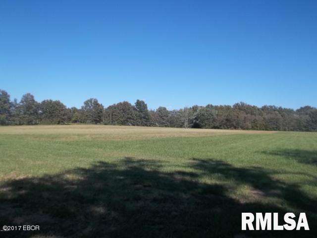 6864 South Forest Church Road Benton, IL 62812 - Photo 3 of 7 Gallery Image 3