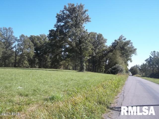 6864 South Forest Church Road Benton, IL 62812 - Photo 4 of 7 Gallery Image 4