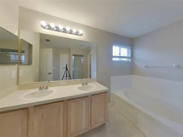a bathroom with a sink a large mirror and a bathtub