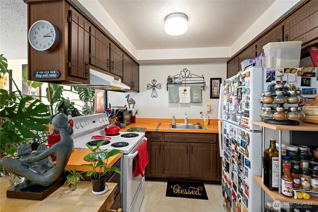 a room with lots of books and lots of flower plants