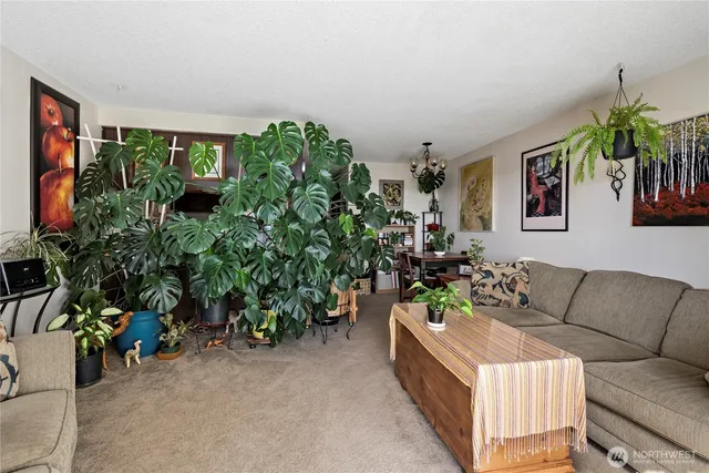 a living room with furniture and a potted plant