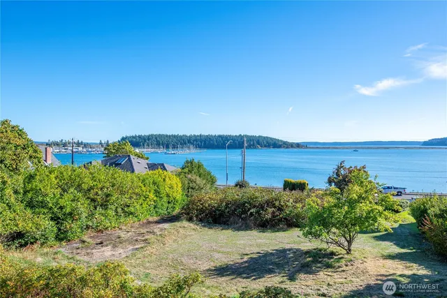 a view of a pathway with a garden