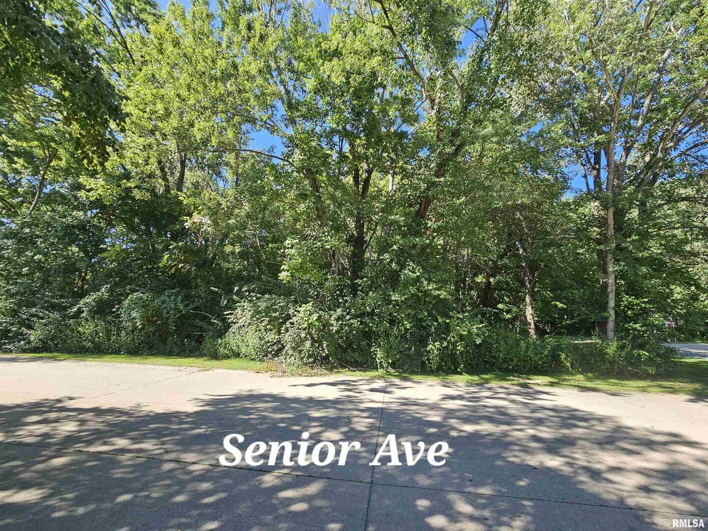 Tbd Senior Avenue Vienna, IL 62995 - Photo 2 of 2 a view of street with trees