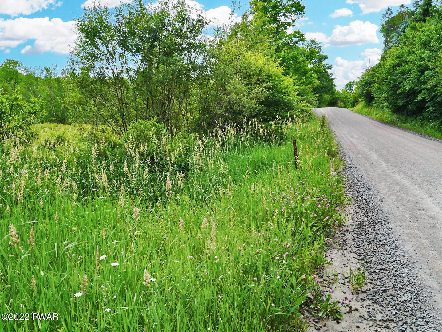 Beaver Hollow Road Starrucca, PA 18462 - Photo 11 of 15