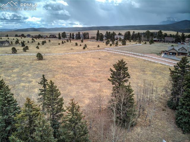 174 Joshua Road Divide, CO 80814 - Photo 3 of 20 Gallery Image 3