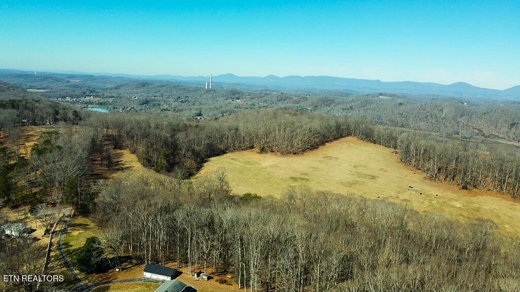 351 Blacks Ferry Road Knoxville, TN 37931 - Photo 8 of 29 Gallery Image 8