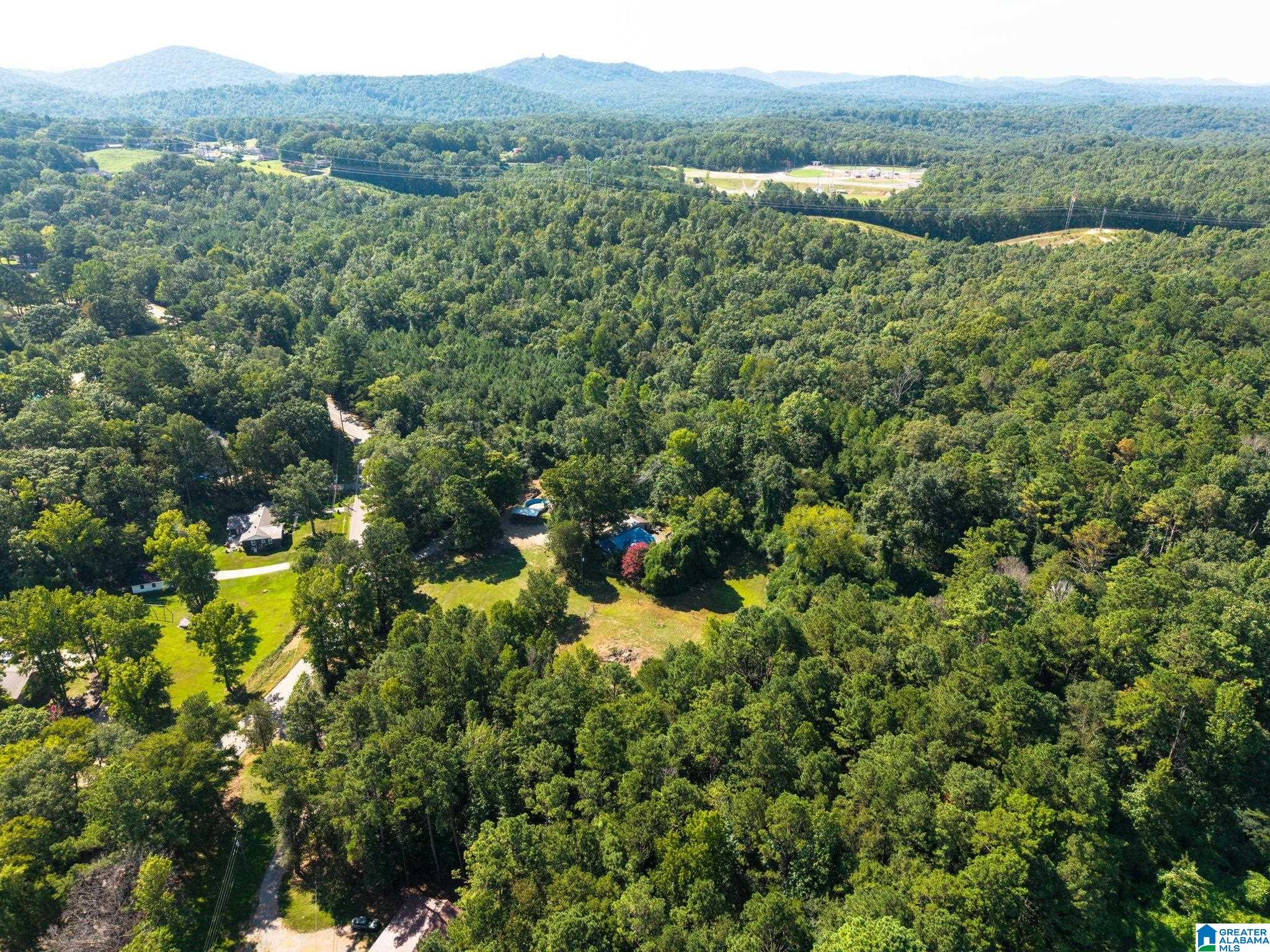 5249 Clay-Palmerdale Road Pinson, AL 35126 - Photo 41 of 43