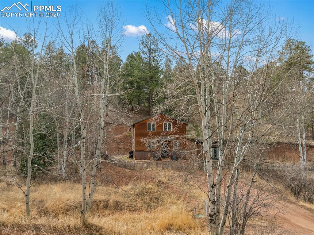 325 Willow Road Divide, CO 80814 - Photo 39 of 49