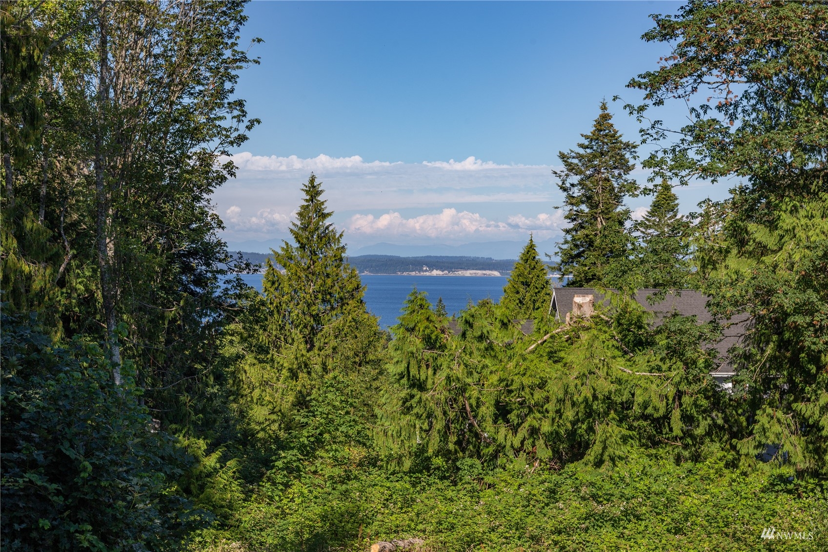 265 Sentinel Firs Road Port Hadlock, WA 98339 - Photo 6 of 29 Gallery Image 6