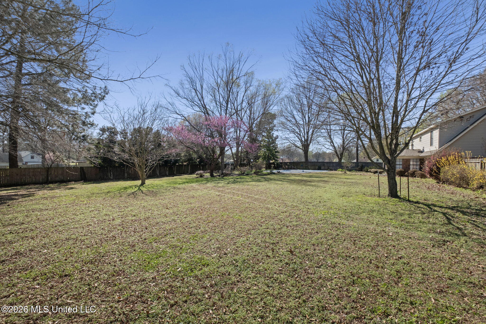 2915 Barrett Street Southaven, MS 38672 - Photo 18 of 26 26-web-or-mls-DSCF1288