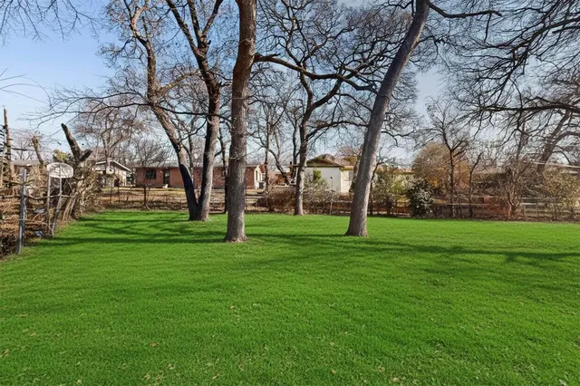 a view of a park with large trees