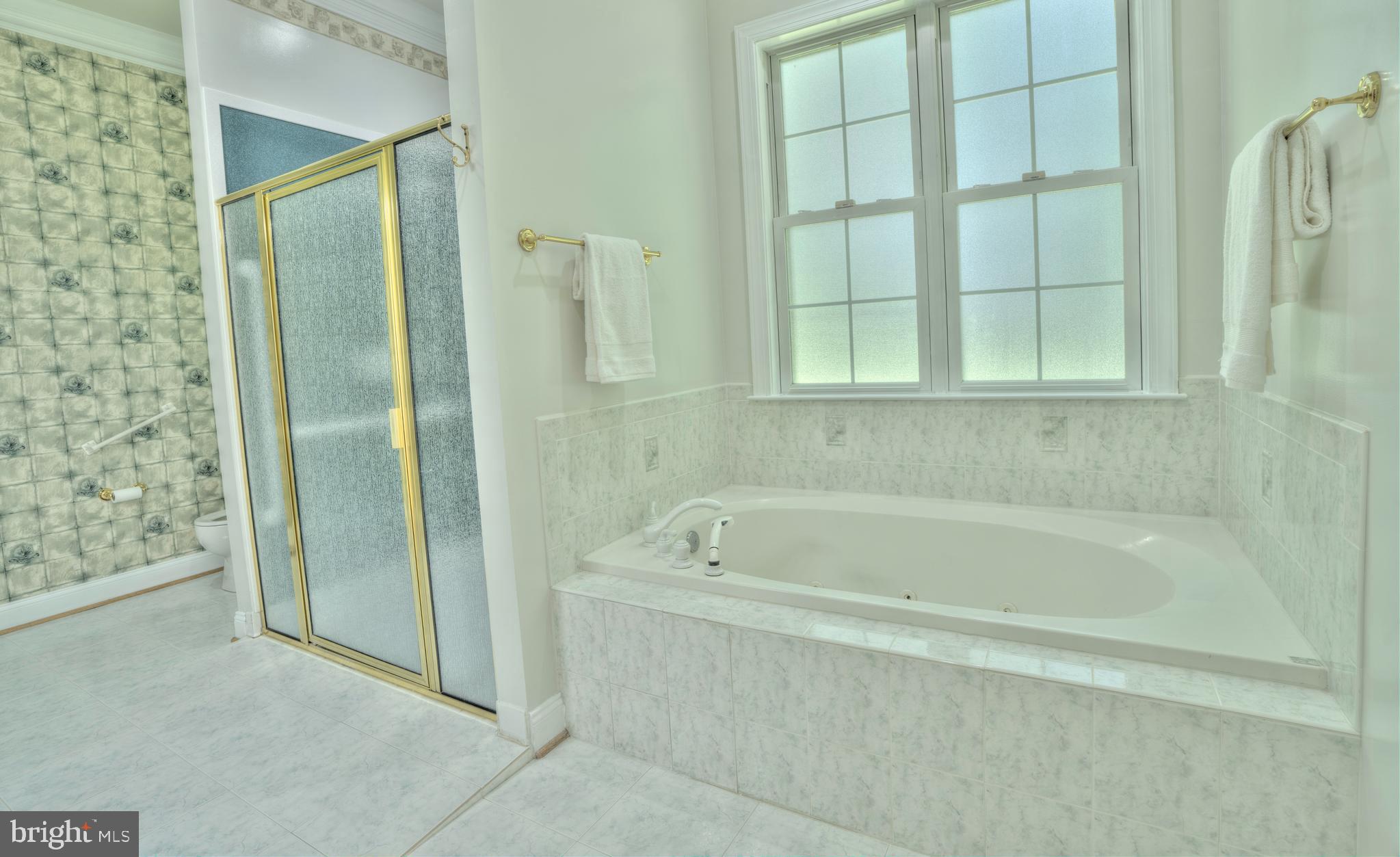 4300 Pinetree Road Rockville, MD 20853 - Photo 19 of 50 a spacious bathroom with a bathtub and shower