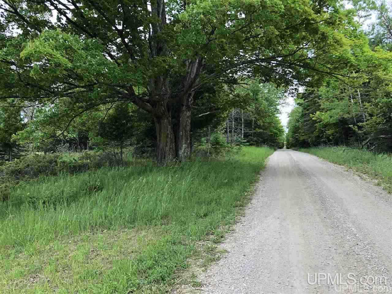 3509 17th Road Garden, MI 49835 - Photo 5 of 8