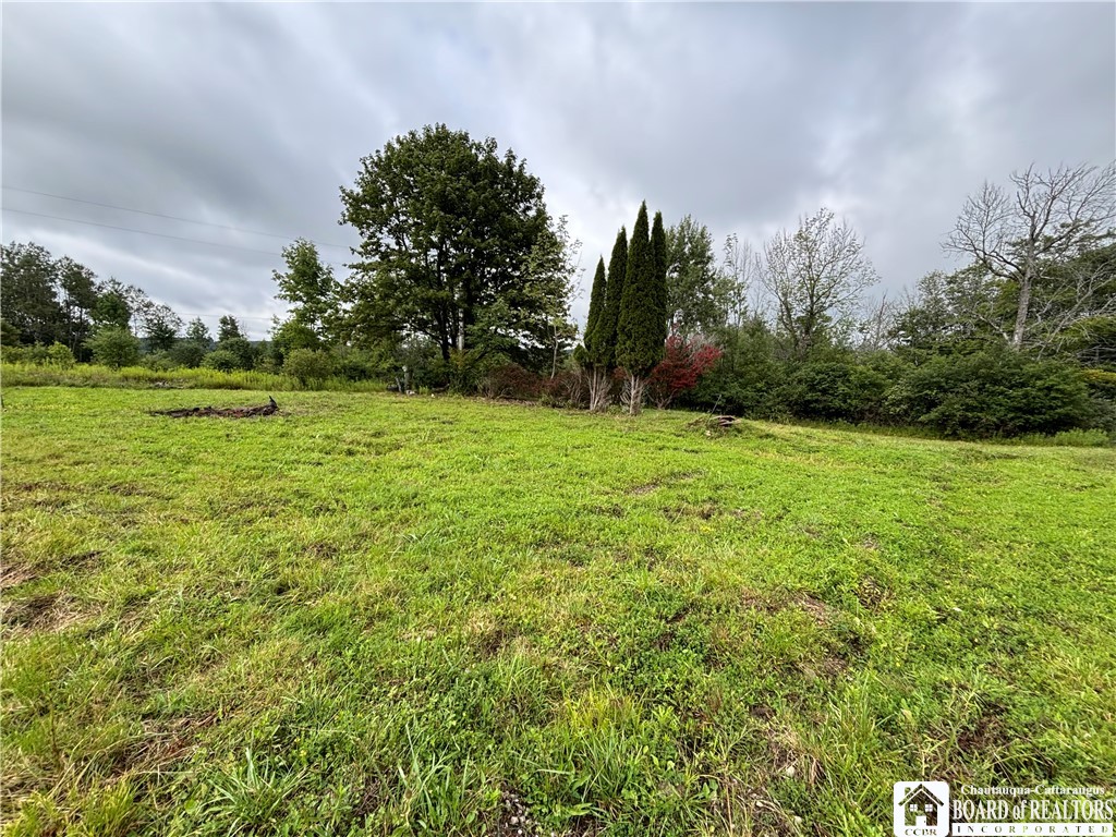 5228 Kenyon Road Alfred, NY 14803 - Photo 7 of 10 Gallery Image 7