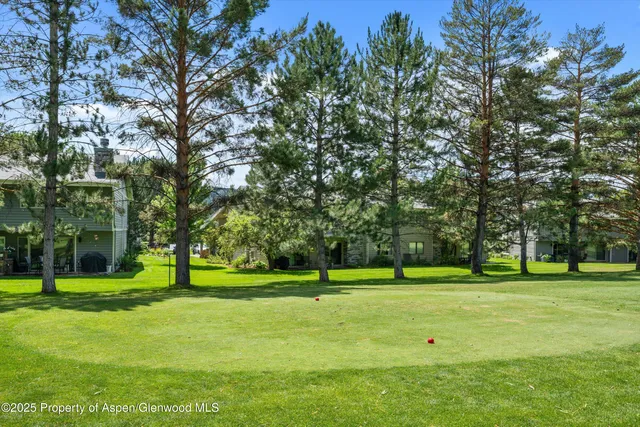 a park with lots of trees