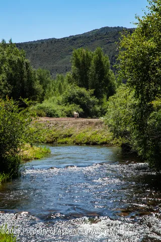 a view of a yard with an outdoor space