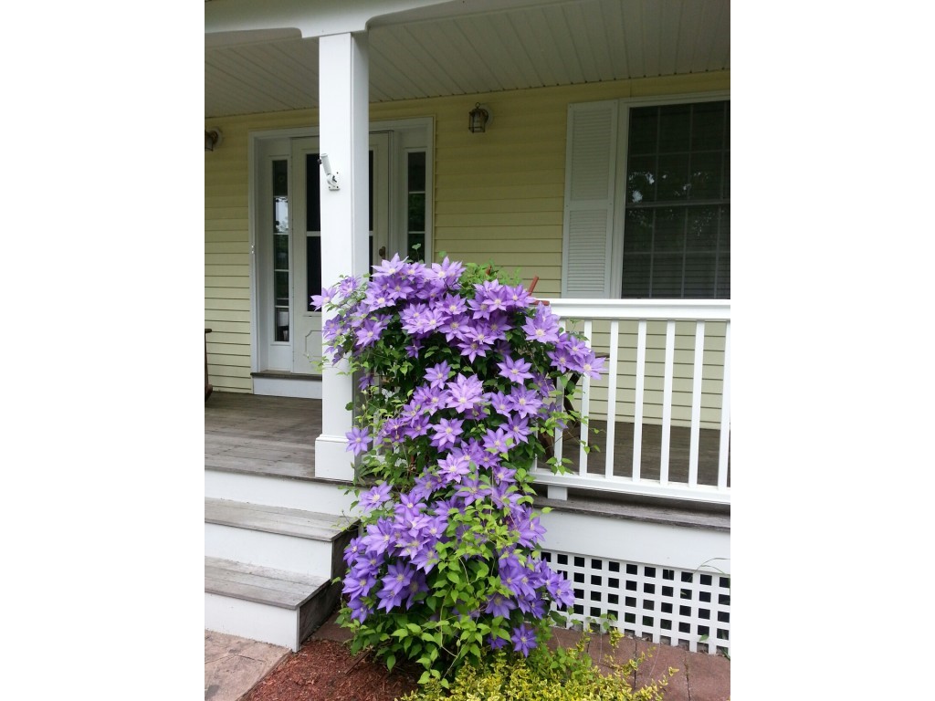 65 Duncan Farms Road Manchester, NH 03102 - Photo 5 of 32