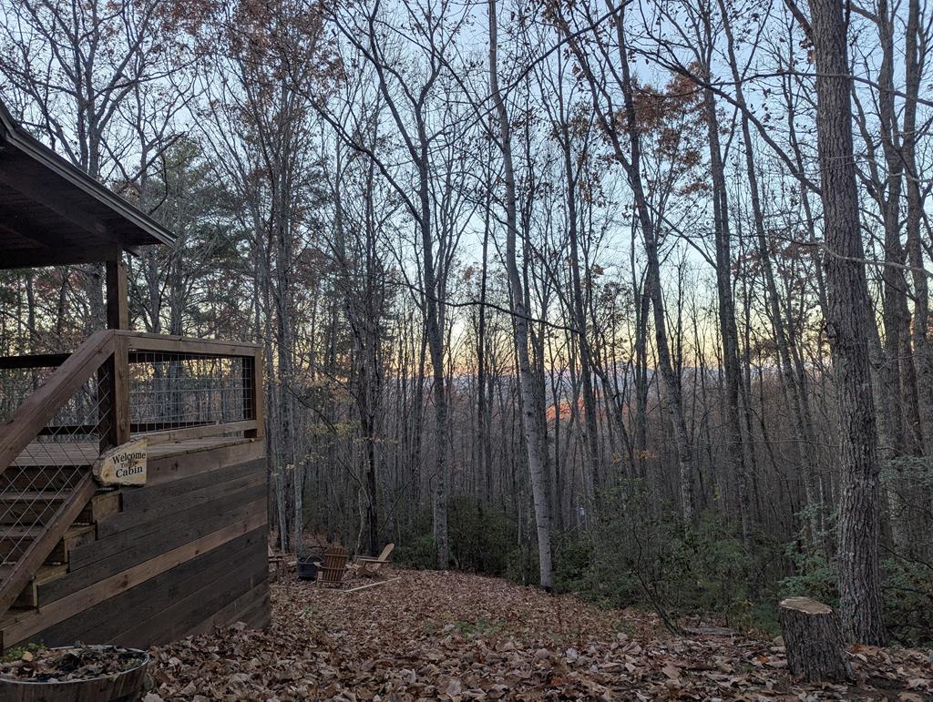 a view of backyard with green space