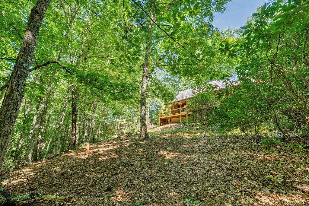 84 Knights Way Blairsville, GA 30512 - Photo 20 of 51 a view of a house with a tree