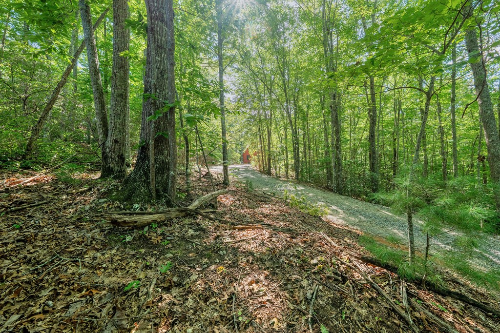 84 Knights Way Blairsville, GA 30512 - Photo 28 of 51 a view of outdoor space and green space