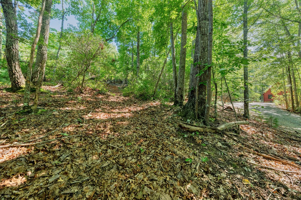 84 Knights Way Blairsville, GA 30512 - Photo 30 of 51 a view of outdoor space and trees