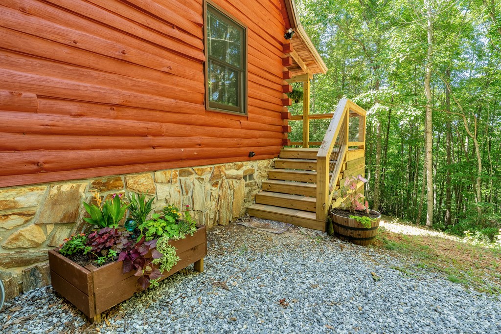 84 Knights Way Blairsville, GA 30512 - Photo 35 of 51 a view of a backyard with plants