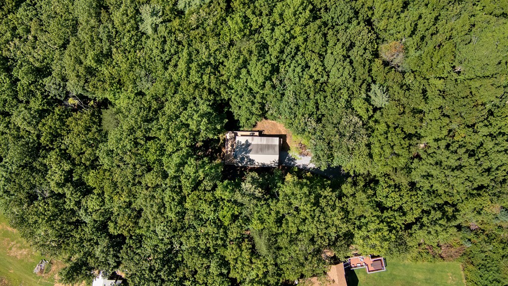 84 Knights Way Blairsville, GA 30512 - Photo 41 of 51 a view of a wall with a tree