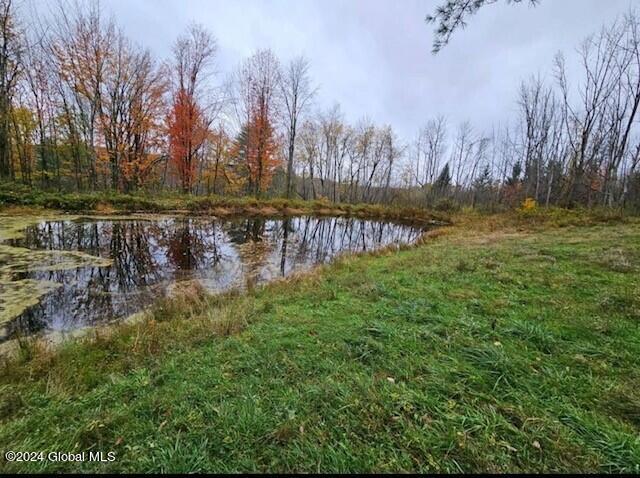 510 Halbert Hill Road Butternuts, NY 13843 - Photo 1 of 1 land image