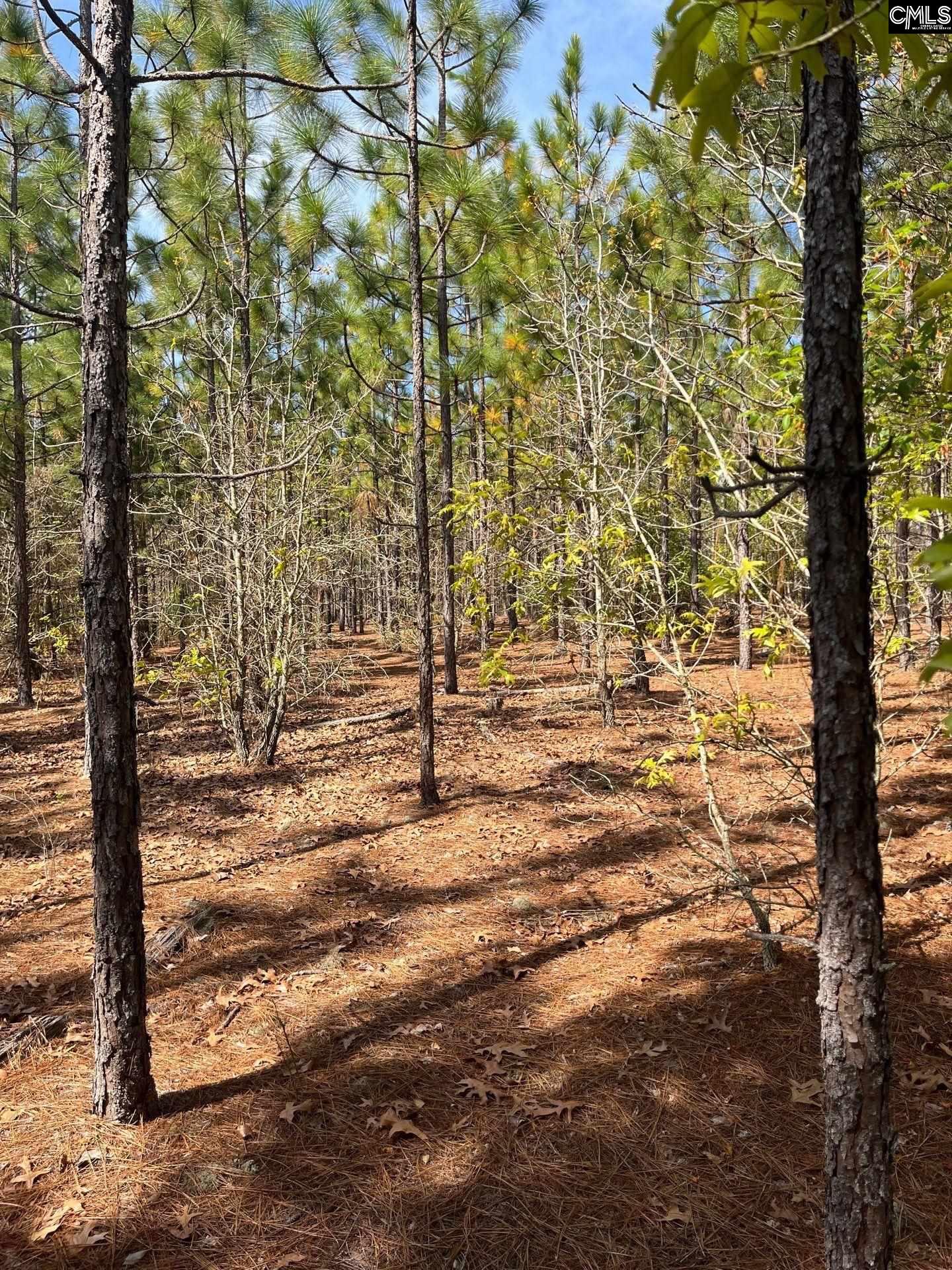 5 Beaver Dam Road Cassatt, SC 29032 - Photo 13 of 17