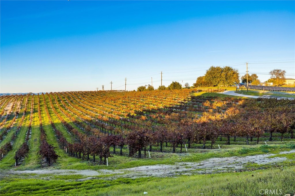 1985 Penman Springs Road Paso Robles, CA 93446 - Photo 49 of 65 a view of a city